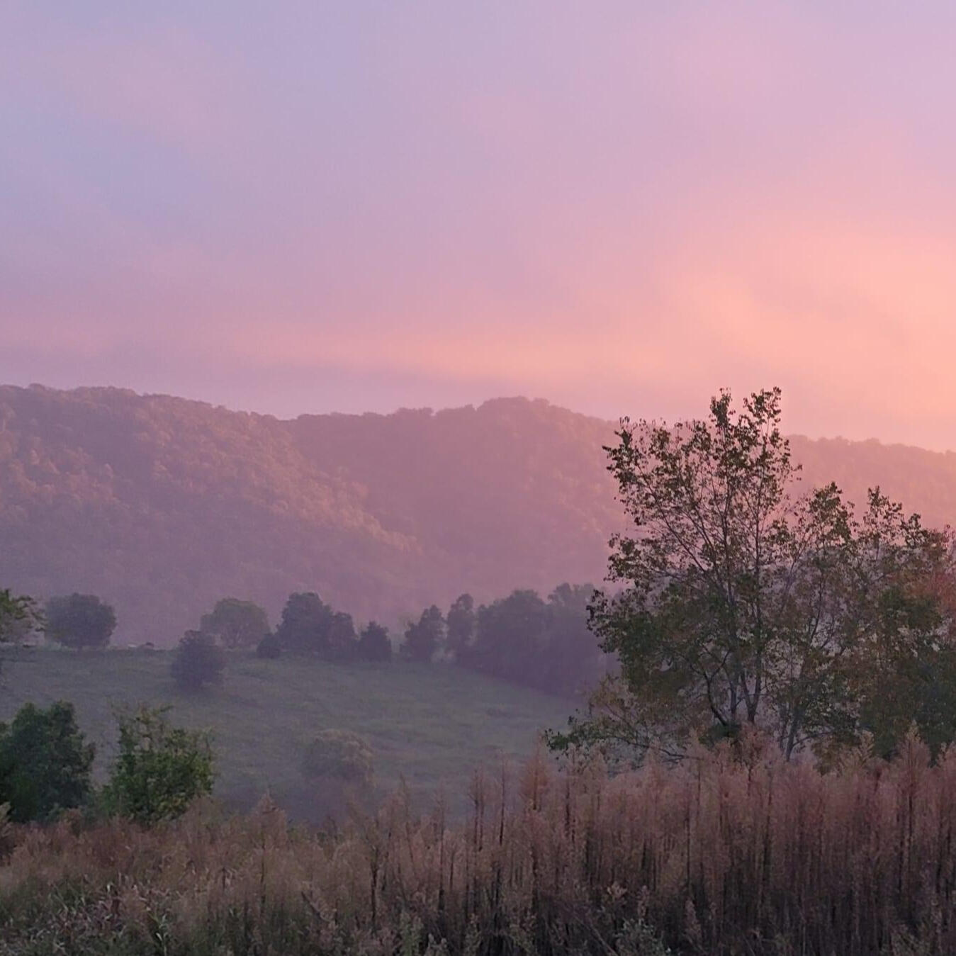 Stories that heal. Hope that lingers